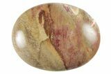 1.8" Colorful Petrified Wood Pocket Stones  - Photo 4